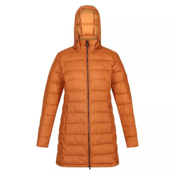 (10 UK, Copper Almond) Regatta Womens/Ladies Starler Padded Jacket