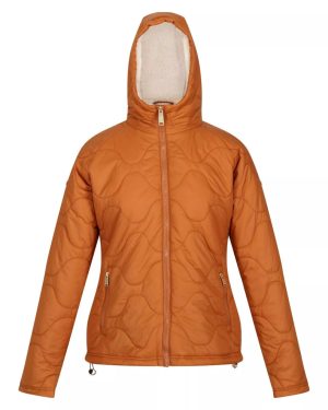 (18 UK, Copper Almond) Regatta Womens/Ladies Ellerie Lightweight Padded Jacket