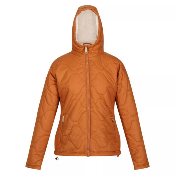 (18 UK, Copper Almond) Regatta Womens/Ladies Ellerie Lightweight Padded Jacket