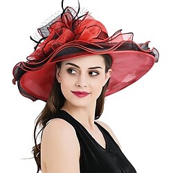 2025 Kentucky Derby Hat for Women Ladies, Organza Veil Feather Fascinator for Tea Party Church UV Protection Sun Hat