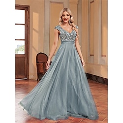 A-Line Quinceanera Dresses Elegant Dress Formal Wedding Floor Length Sleeveless V Neck Tulle V Back with Sequin 2025