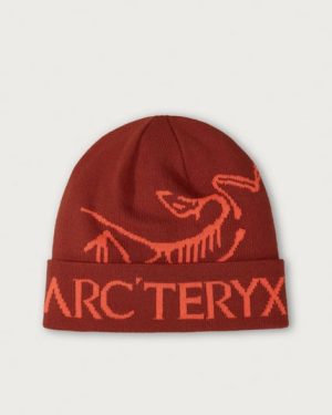 Arc'teryx Bird Word Toque Beanie - Sequoia/Solaris