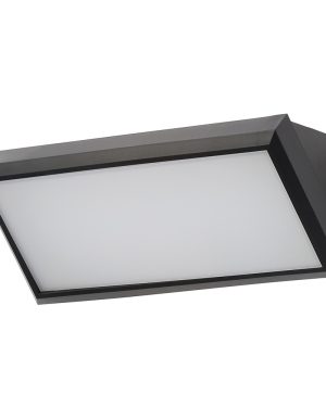 Barrow Outdoor LED Wedge Design Wall Light - Black
