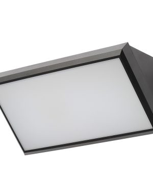 Belford Outdoor LED Wedge Design Wall Light with Hi/Lo Switch - Black
