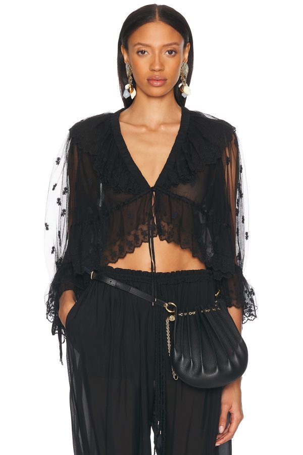 Chloe Embroidered Blouse in Black - Black. Size 36 (also in ).