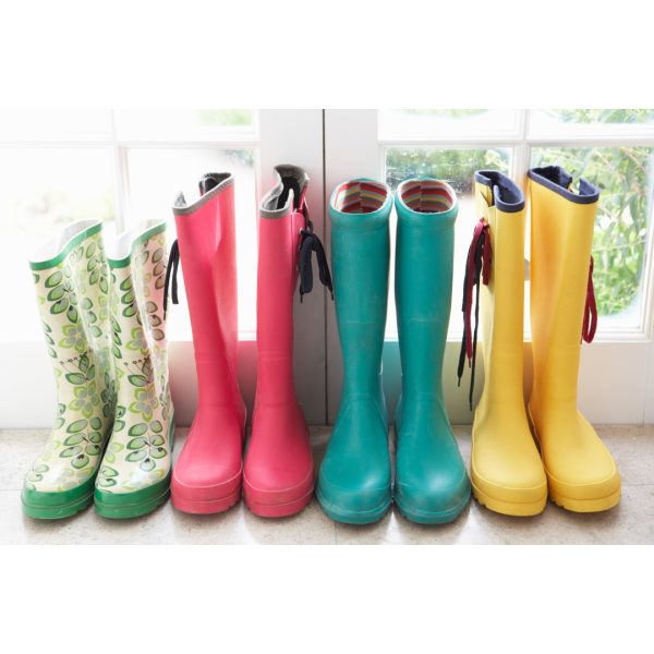 Colorful Rain Boots in a Line by Monkeybusinessimages - Wrapped Canvas Photograph