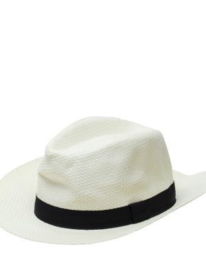 Cream Beige Straw Hat