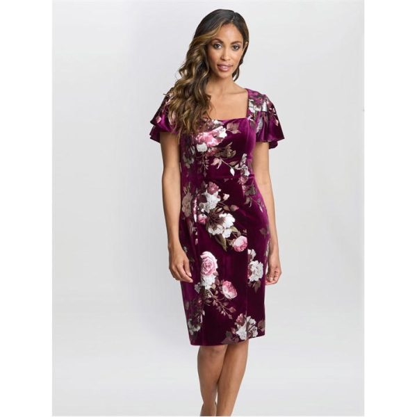 Gina Bacconi Paulina Foil Printed Velvet Dress - Pink