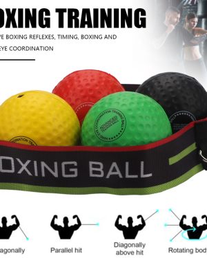 Reflex Ball Family Pack 4 Different Boxing Training Ball with Headband