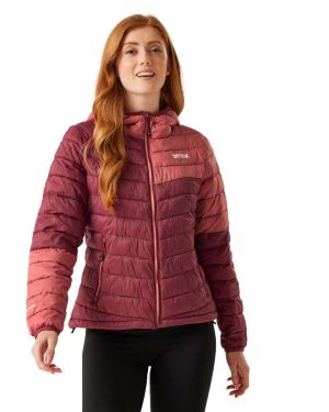 Regatta Womens Hillpack III Hooded Full Zip Padded Jacket 8 - Bust 32' (81cm)