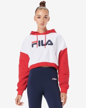 Saachi Logo Hoody