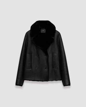 Shearling Calla Coat - 34