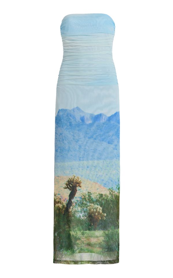 Significant Other - Exclusive Sura Strapless Printed Mesh Maxi Dress - Multi - US 2 - Moda Operandi