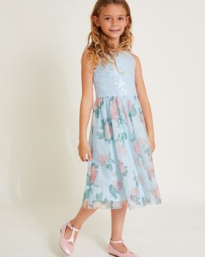 Truth Sequin Floral Tulle Dress Blue