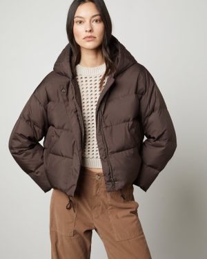 Velvet By Graham & Spencer Raylin Jacket Chocolate Size XL