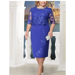 Women's Midi Dress Lace Dress Bodycon Dress Work Dresses Eyelet Dress Birthday Cocktail Vacation Daily Regular Fit Plain Half Sleeve Crew Neck Red Navy Blue Blue Summer