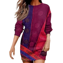 Women's Mini Dress Shift Dress Casual Vacation Home Holiday Regular Fit Graphic Color Block Long Sleeve Crew Neck Red Blue Purple Dark Gray Fall Winter