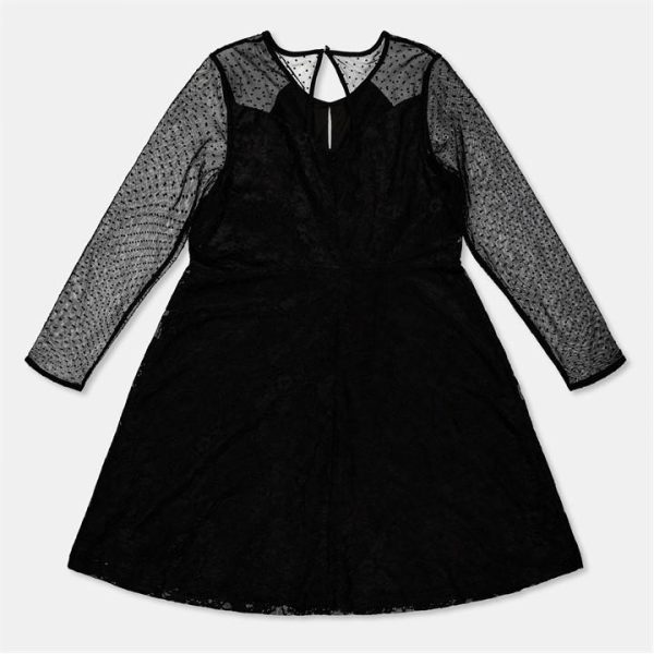 Yumi Black Lace Mesh Skater Dress