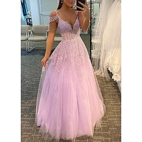 A-Line Prom Dresses Empire Dress Formal Wedding Guest Floor Length Sleeveless V Neck Tulle Backless with Pleats Appliques Masquerade Dress 2025