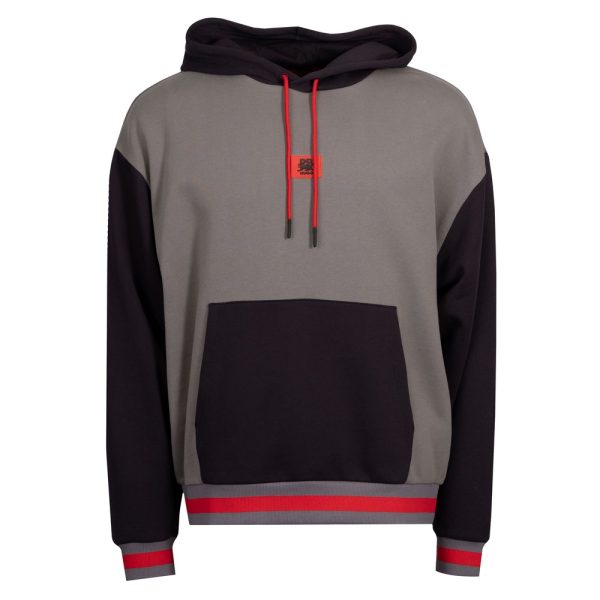 Dicheck Red Bull Hoody