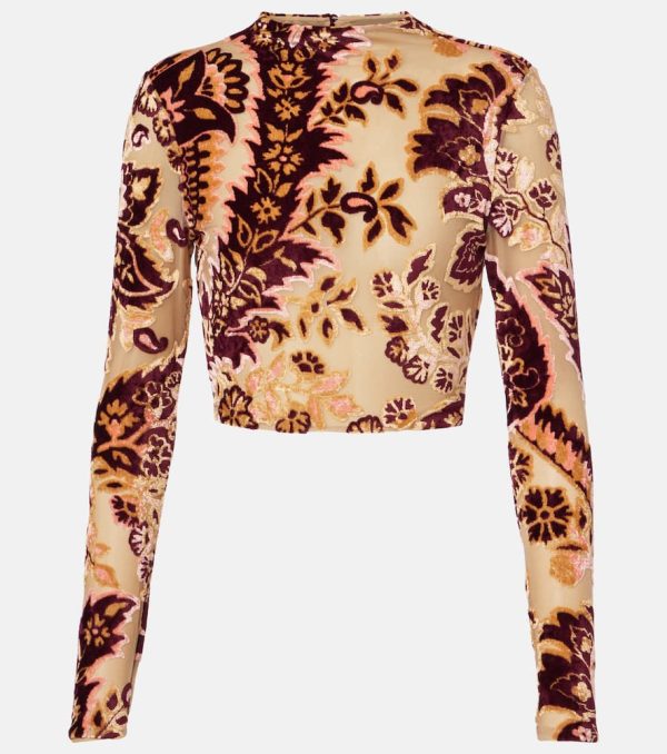 Etro Paisley tulle and velvet jacquard crop top