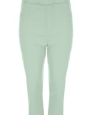 Womens Mint Plain Kate Cropped Jeggings