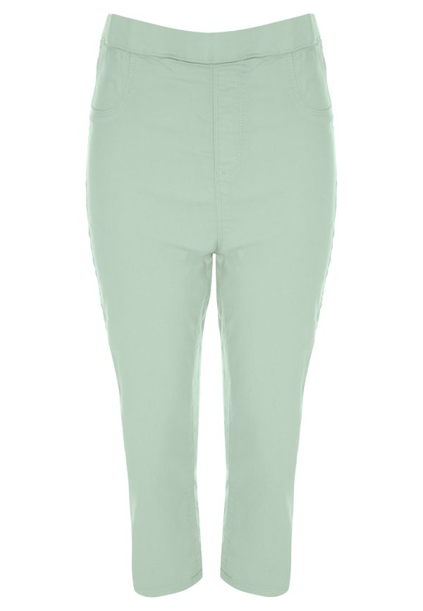 Womens Mint Plain Kate Cropped Jeggings