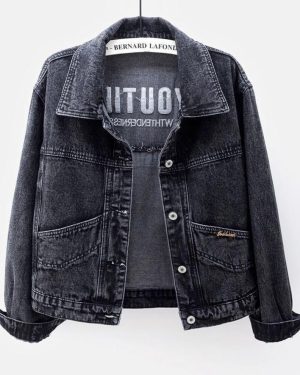 (black,gray, 2XL) Plus Size Embroidered Denim Women Spring Autumn Casual Long Sleeve Short Jean Jacket Streetwear Loose Outerwear