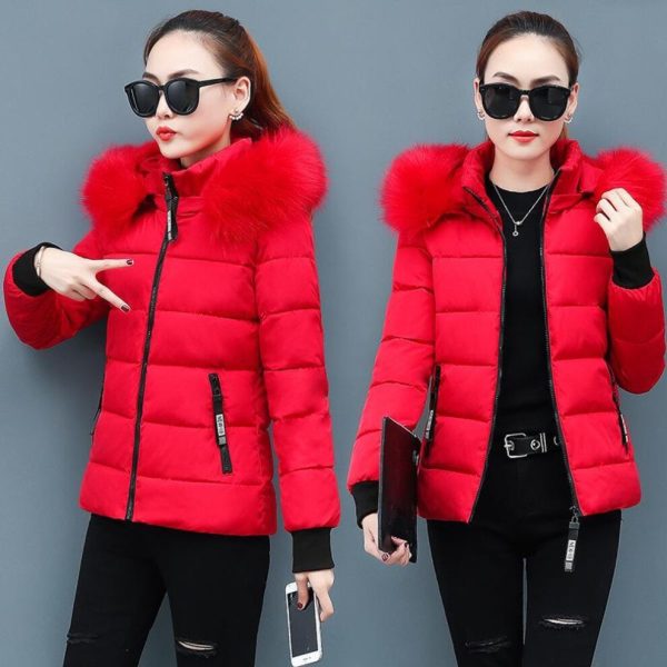 (red, 2XL) Winter New Short Cotton Coat Slim Fit Thickened Large Wool Collar Cotton Coat Down Jackets