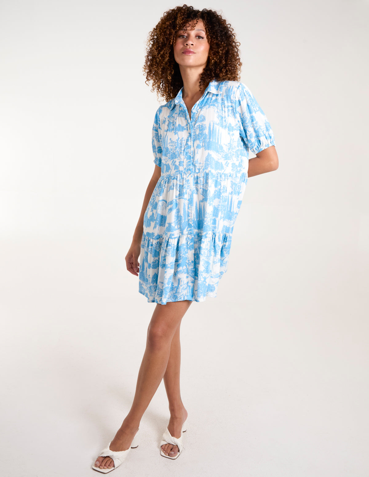 Mini Smock Chinoiserie Shirt Dress - M Light Blue