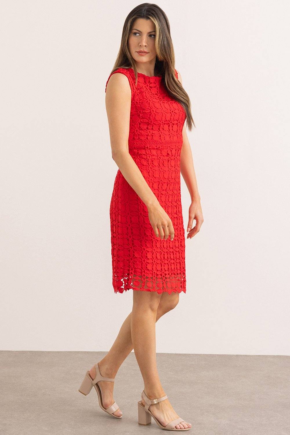 Klass. Fitted Lace Shift Dress In Scarlet